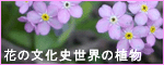 ������@�Ԃ̕����j���E�̐A��