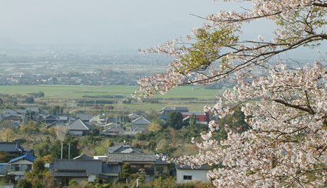 発心公園からは草野地区などの眺めが良い