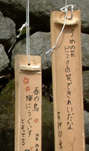 三岳梅林公園にあった小学生の竹の短冊