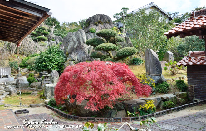 背石庵の庭。後ろの石山は『香春三岳の庭』といい、香春岳を模したもの