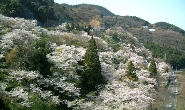 飯塚から篠栗に通じる国道２１０号線の八木山峠の飯塚側にある八木山展望公園