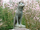 西郷隆盛の愛犬『ツン』の銅像