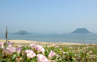高島などが見え、海の景色もなかなか良い