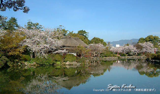 「神野公園」の画像検索結果