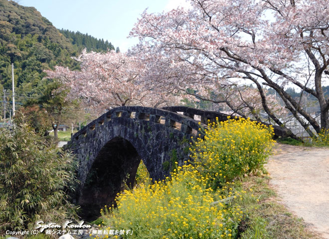 石橋と桜の組み合わせが、とても良い大窪橋（おおくぼばし）