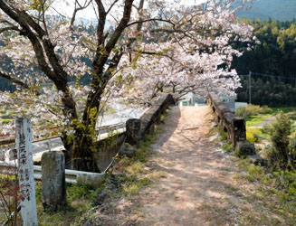 橋の傍には小さな石碑が建っており、「この橋車通る扁から須」と書いてある。