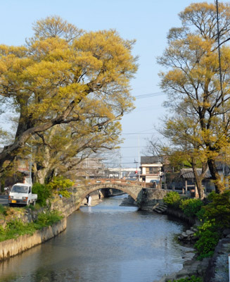 周辺には樹齢150〜200年のエノキの木も8本ある