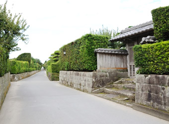知覧の武家屋敷群は生垣も良く手入れされ清潔感があふれる