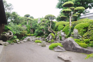門を入ったところに庭がある(佐多美舟邸庭園)