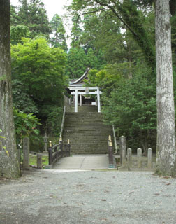 今も杉の大木が茂る国造神社