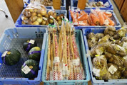 かぼちゃ、ニンジン・・・