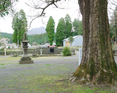 2001年に西巌殿寺(さいがんでんじ)本堂は火事で焼失してしまった(手前は樹齢約300年のイチョウ)