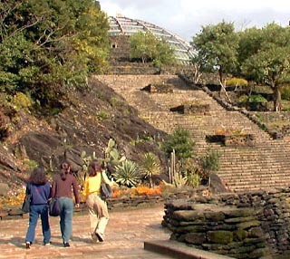 長崎バイオパークのインカの石積みに続く石段