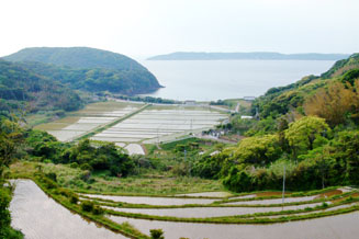 県道153号線から望む田ノ浦海水浴場