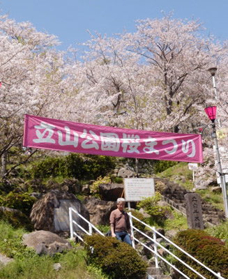 3月下旬から開催される “立山公園さくら祭り”