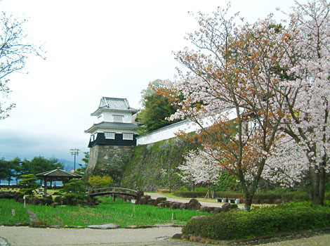 大村市の大村公園は桜や花ショウブの名所