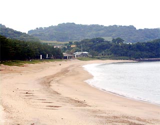 キャンプ場もある白砂青松の白浜海水浴場