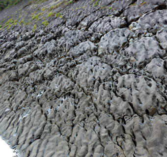 傾斜30度、長さ140mに広がる漣痕(れんこん)