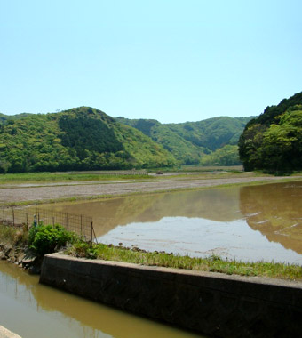 ここには広い水田がある。だから「田ノ浜」かな?