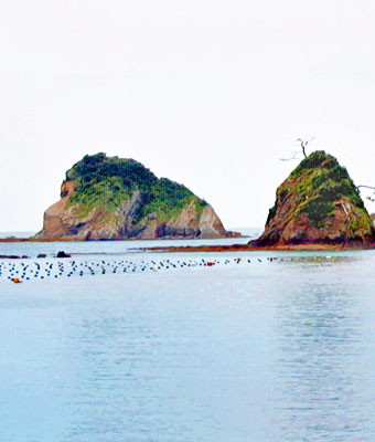 左の島はゴリラの横向きの顔に似ているのでゴリラ島という