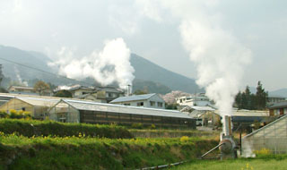 田んぼや谷あいから盛んに噴気きを出している堀田温泉