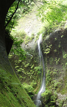 由布川渓谷には４０数条の滝がある