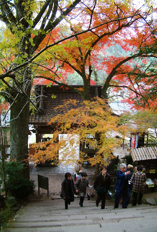 富貴寺の入口の紅葉