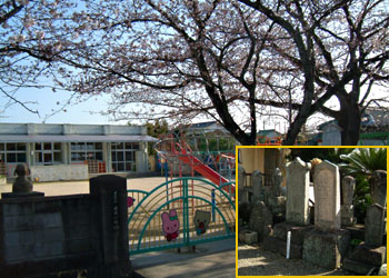 幼稚園となっている瀧家の屋敷跡と龍泉寺にある瀧家の墓