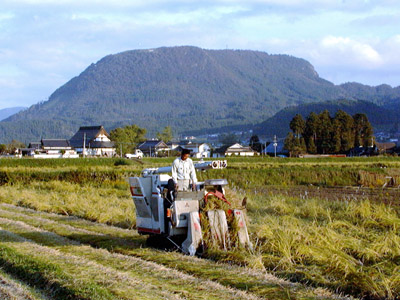大きな木を大男が切り倒したという伝説の残る伐株山(きりかぶやま)
