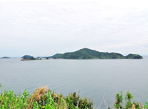 丹賀砲台園地から見る大島