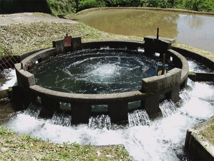 音無井路十ニ号分水(円形分水)は中央から湧き出した水が3線の幹線水路に適正に分配される