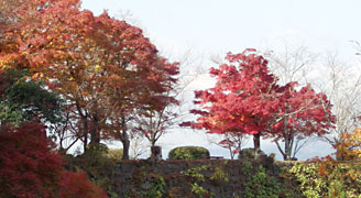岡城跡の春の桜も良いが、秋の紅葉もなかなかのもの