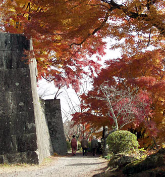 紅葉の見ごろは11月中旬頃