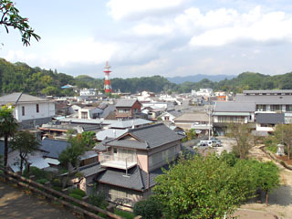 竹田荘からみる竹田市街地(竹田荘母屋の二階からは城下町を一望できることから雪月楼(せつげつろう)といわれていた)