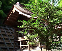 西椎屋神社の本殿