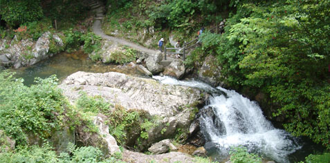 見帰りの滝（見返りの滝）の下流の渓流沿いには遊歩道がある
