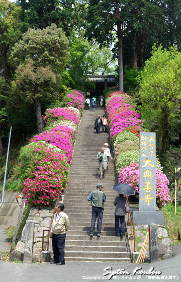 大興善寺は長い石段を登ったところにある