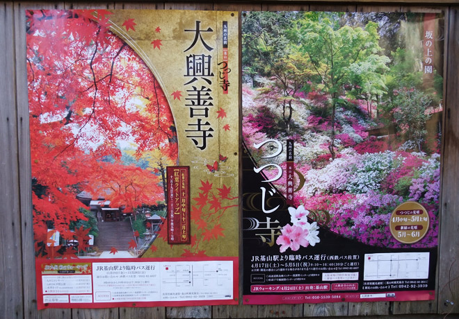 春は「つつじの名所」、秋は「紅葉の名所」として知られている大興善寺(だいこうぜんじ)