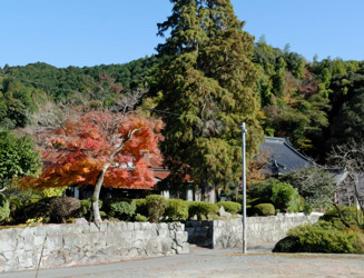 参道そばにある常行寺の紅葉もきれいなようだ