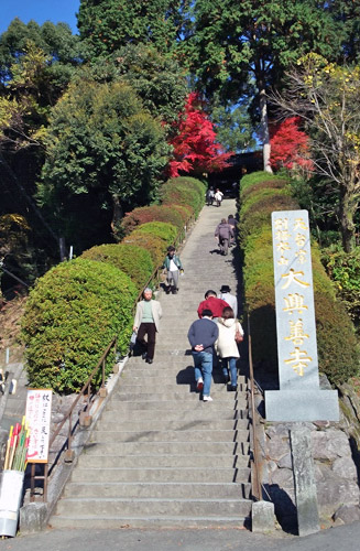 大興善寺(だいこうぜんじ)の長い石段