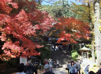 紅葉の季節には多くの人が訪れる