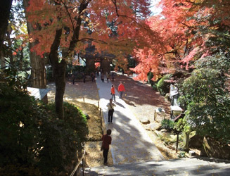 やはり紅葉は晴天の日が一番きれい