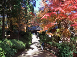 大興善寺境内西側にある熊野神社参道