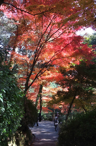 契山観音からは道は下りで楽です