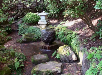 愛の泉
