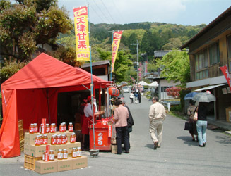 参道には植木屋さんなどいろいろな店が出る