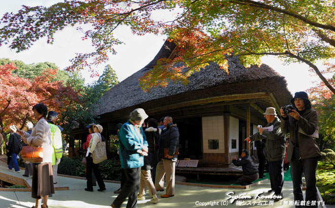 紅葉が美しい九年庵