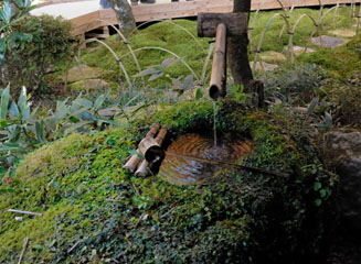 苔むしている手水(ちょうず)
