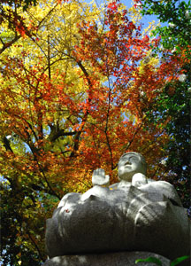 入口の紅葉がきれい