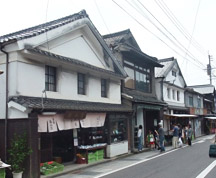 江戸時代から昭和初期の上質の和風・洋風の建築群が多く残っている